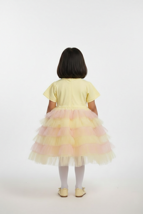 Frock 111-63-TYTY