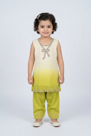 Shalwar Suit 134-765A