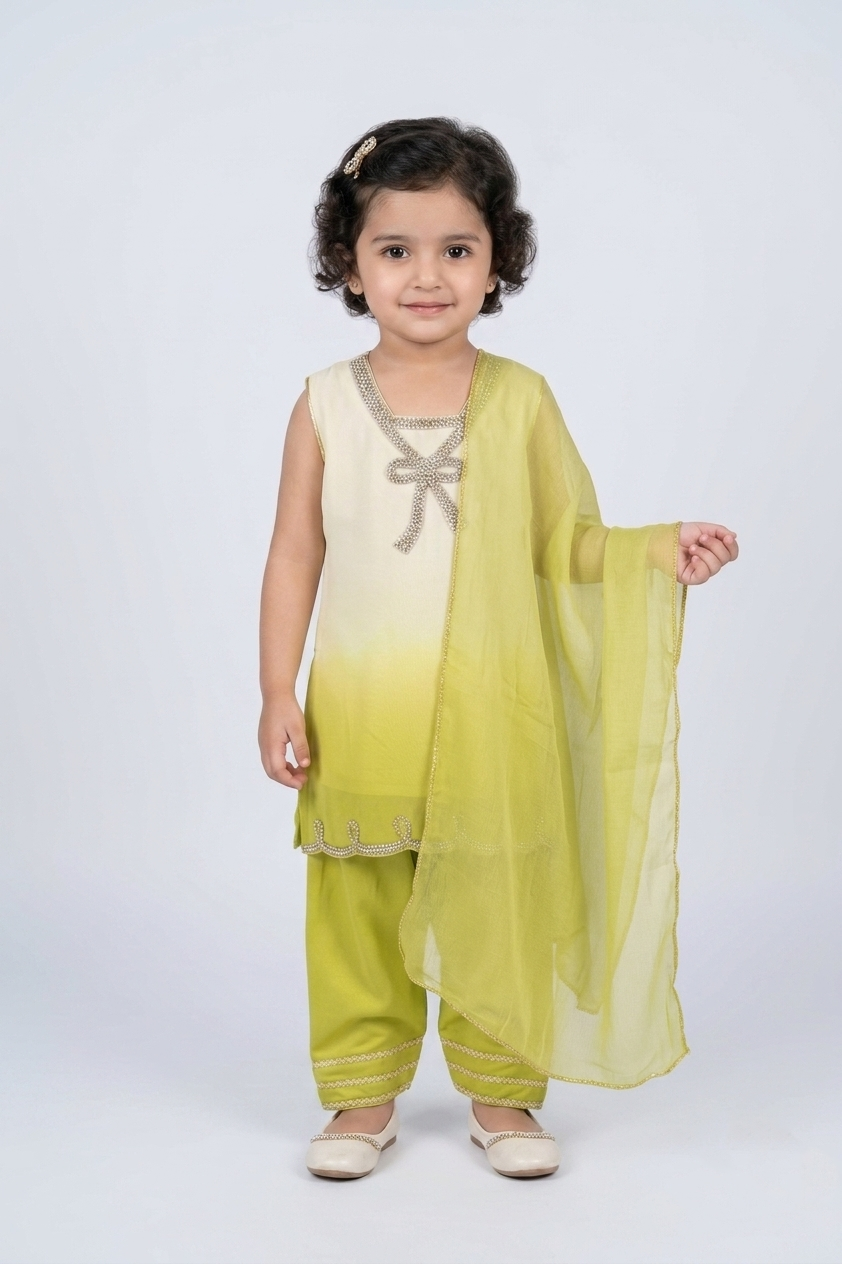Shalwar Suit 134-765A