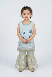 Gharara Suit 134-809A