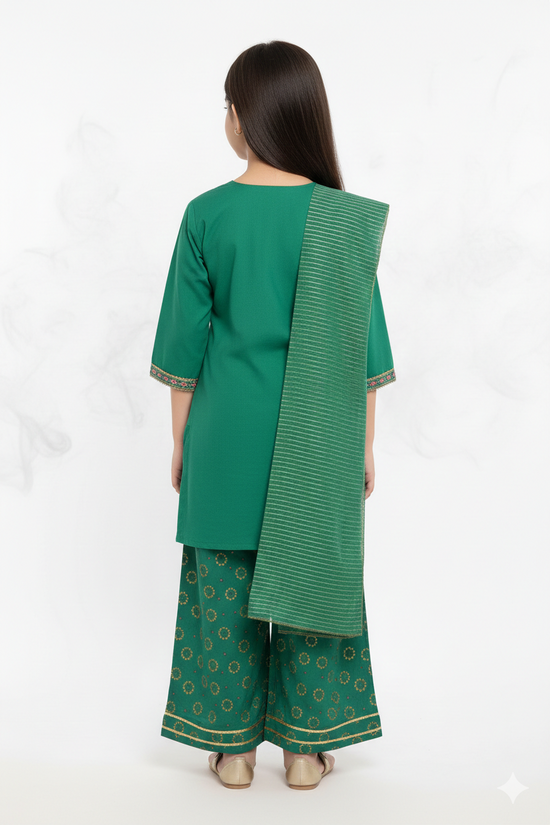 Sharara Suit 26-519