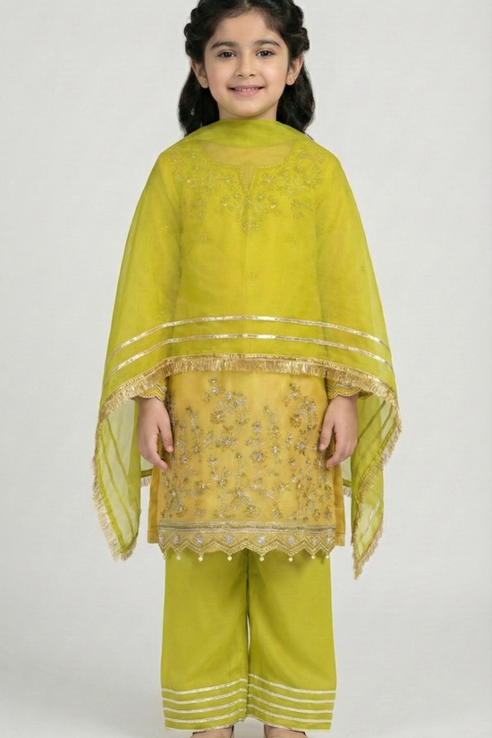 Sharara Suit 518