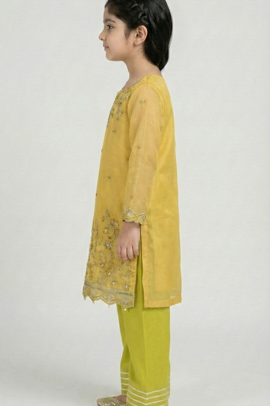 Sharara Suit 518