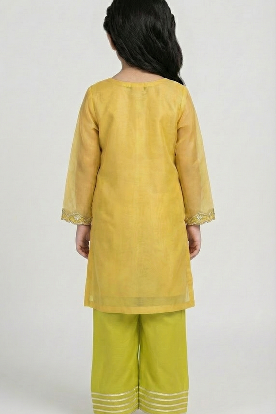 Sharara Suit 518