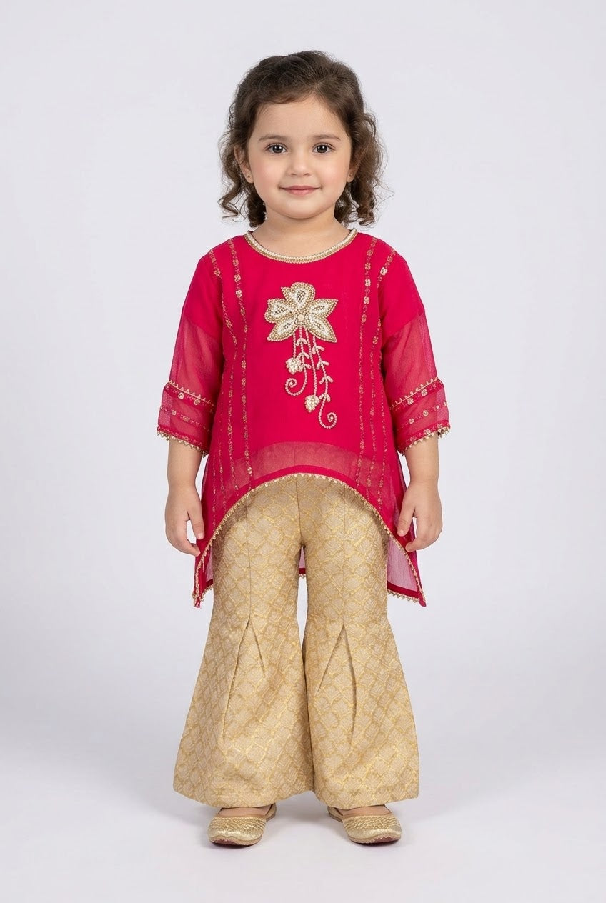 Shalwar Suit 134-764A