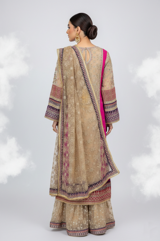 Sharara Suit 586-501