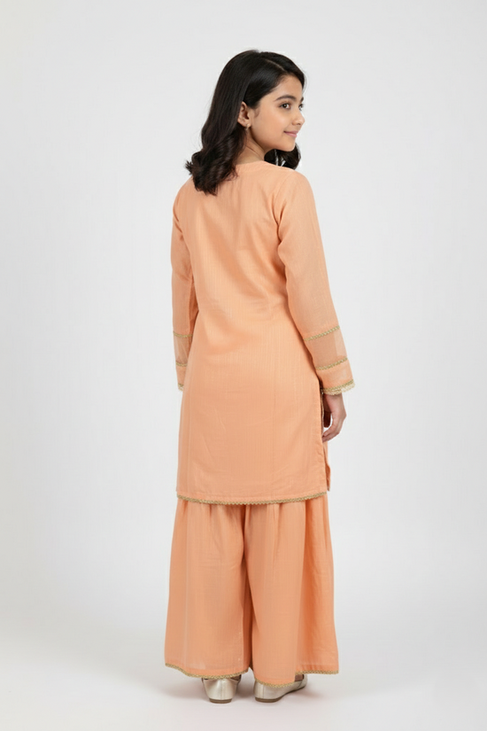Gharara Suit 827-14981MN