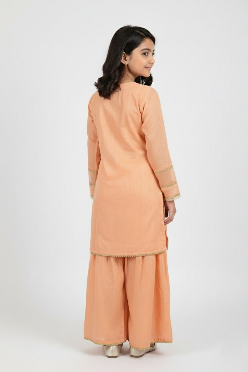 Gharara Suit 827-14981MN