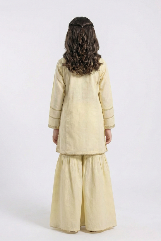 Gharara Suit 827-14981MN