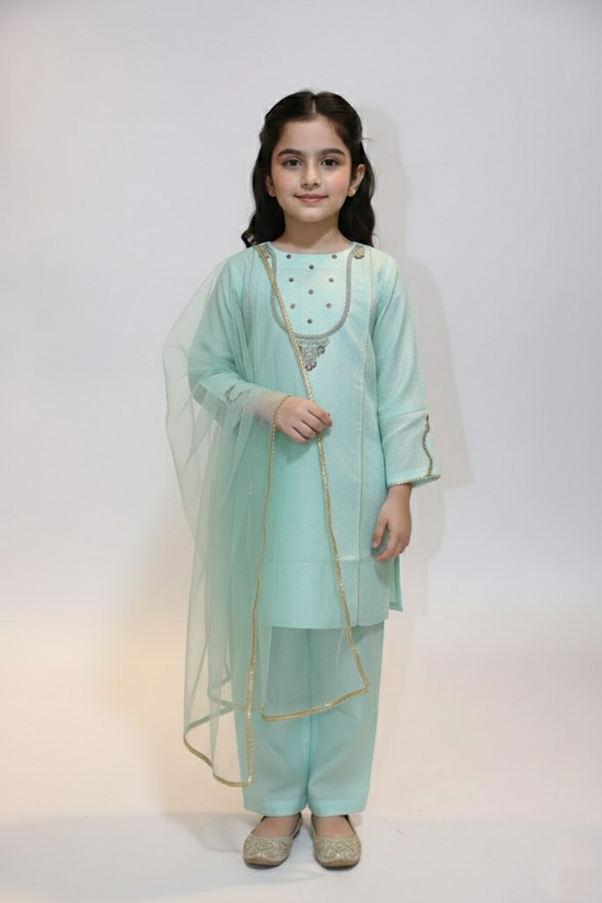 Shalwar Suit 827-14986SO