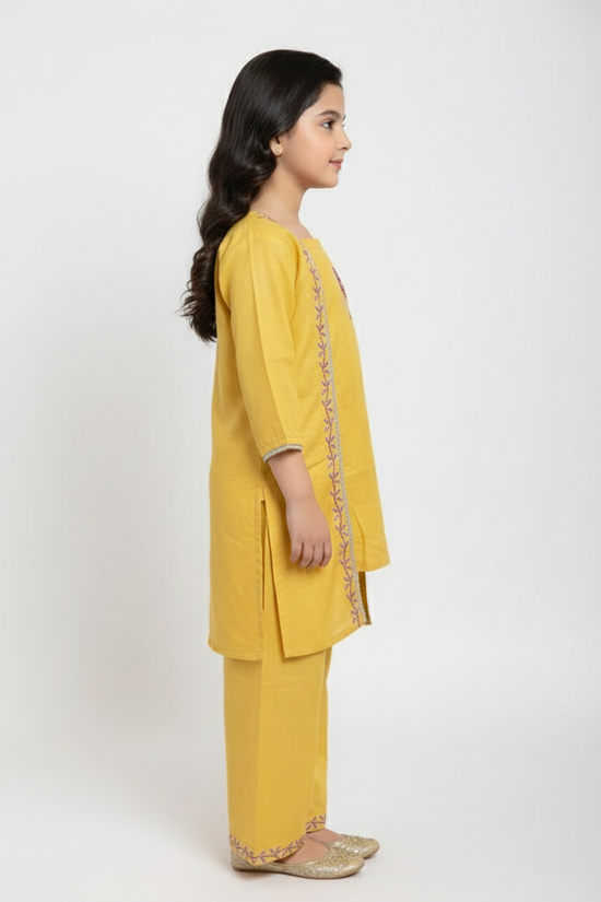 Shalwar Suit 827-15049HG