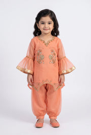 Shalwar Suit 134-801A