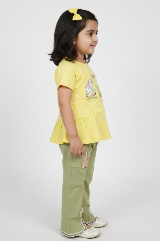 Shirt Pant Suit 111-H8044