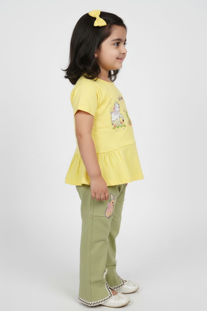 Shirt Pant Suit 111-H8044