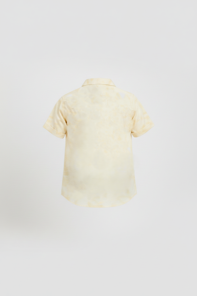 Casual Shirt 232-514