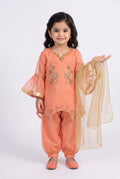 Shalwar Suit 134-801A