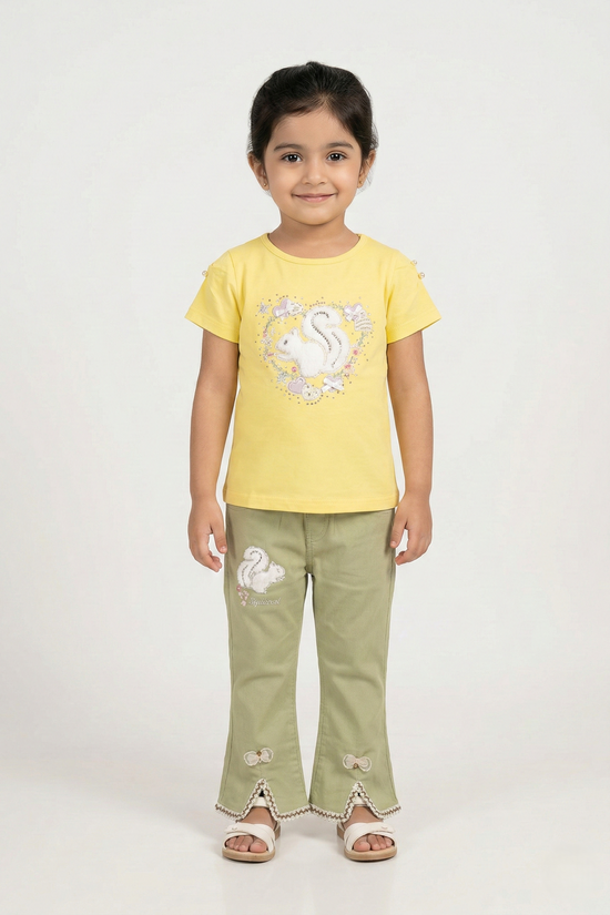 Shirt Pant Suit 111-H8008