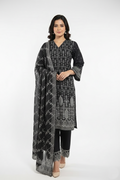 Shalwar Suit 1365-231-1