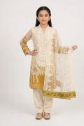 Shalwar Suit 124-AL-3884-G