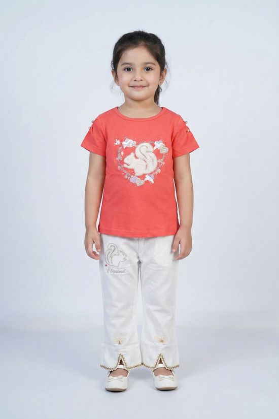 Shirt Pant Suit 111-H8008
