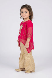 Shalwar Suit 134-764A