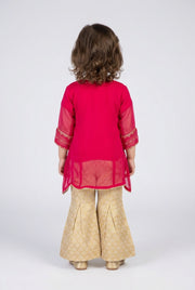 Shalwar Suit 134-764A