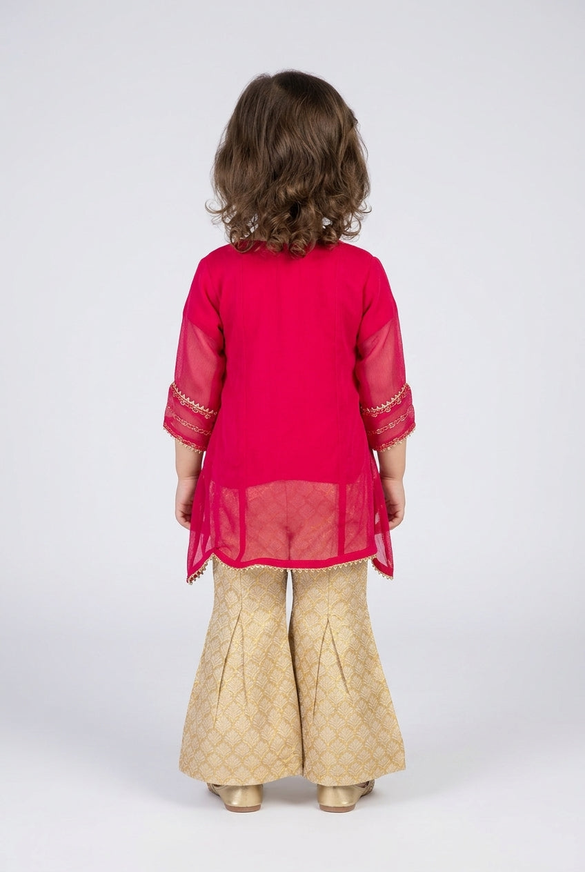 Shalwar Suit 134-764A