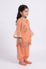 Shalwar Suit 134-801A