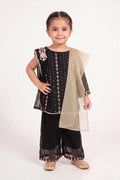 Sharara Suit 134-774A